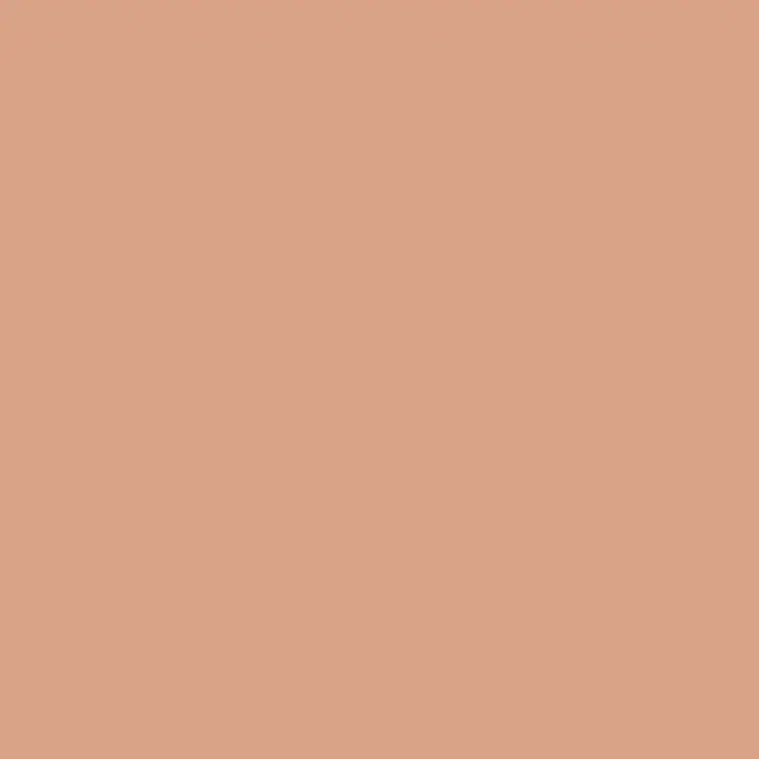 Bruguer Elegance Pintura para paredes - Terracota rústica, Mate, 4 l - Fondo uniforme en tono piel, perfecto para diseño web o presentaciones que necesiten una base cálida y neutra.