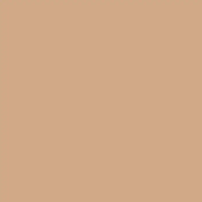 Bruguer Elegance Pintura para paredes - Camel clásico, Mate, 4 l - Fondo sólido en un tono beige cálido, ideal para propósitos de diseño versátiles.