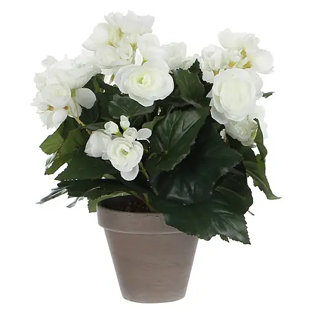 Kunstpflanze Begonia Weiß