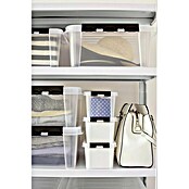 SmartStore Aufbewahrungsbox (L x B x H: 38 x 14 x 11 cm, Kunststoff, Transparent)