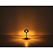 Globo Stolna svjetiljka Kokkini  (25 W, Crna, Boja sjenila: Crna, E14) | BAUHAUS
