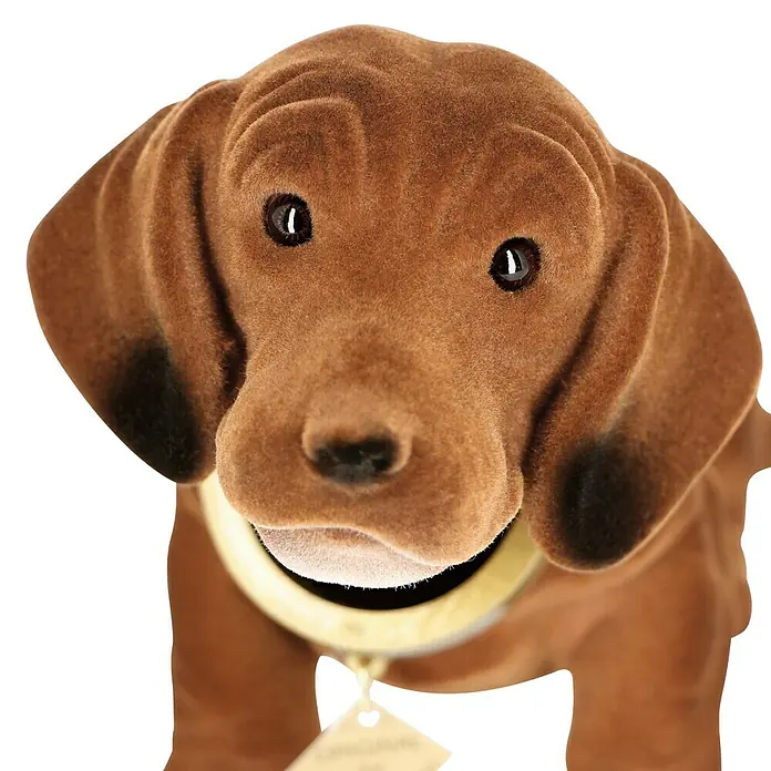 Eufab Wackeldackel - Länge: 30 cm - Nahaufnahme eines braunen Stofftier-Dackels mit treuen Augen und goldenem Halsband.