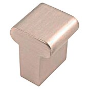 Nesu Pomo para muebles 33516 (An x Al: 1,5 x 2 cm, Acero, Níquel)