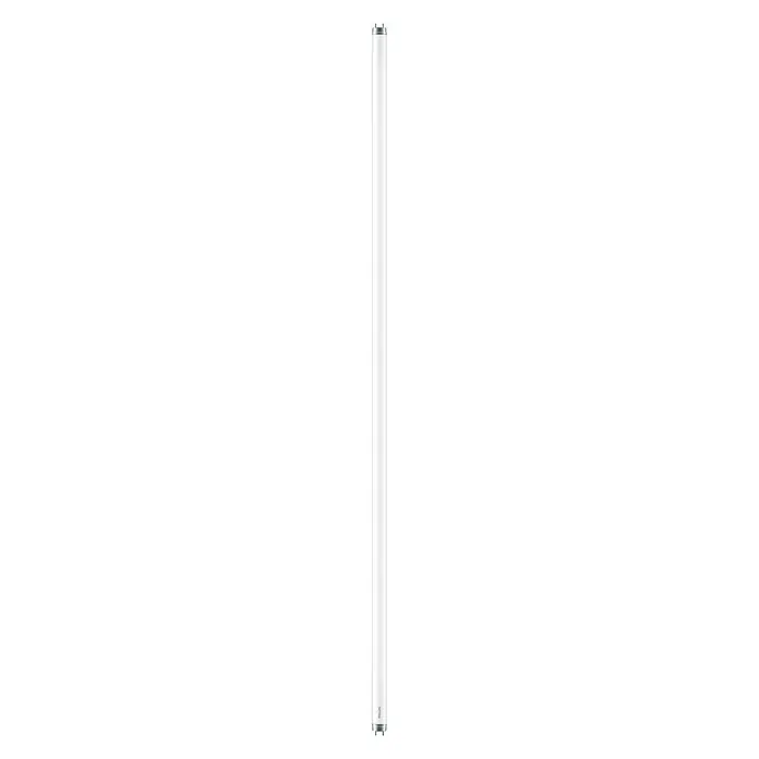 Philips LED Leuchtstoffröhre T8 - Länge: 121,2 cm, Kaltweiß, 16 W, 1.600 lm - Ein einzelnes, schlankes LED-Leuchtmittel in neutralem Weißton für eine moderne und effiziente Beleuchtungslösung.