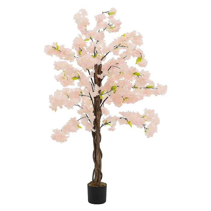 erde aus garten für zimmerpflanzen Erde für Zimmerpflanzen | torffrei main image 0