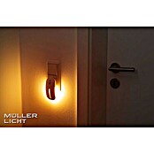 Müller-Licht LED-Nachtlicht Agena Sensor (1,8 W, Weiß, 11,4 x 5,7 x 6,3 cm, Bewegungsmelder)