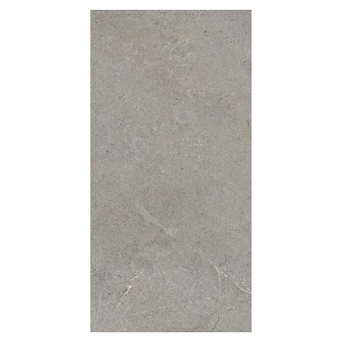 Palazzo Feinsteinzeugfliese Valdi (30 x 60 cm, Taupe, Matt) | BAUHAUS