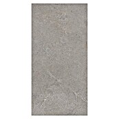 Palazzo Feinsteinzeugfliese Valdi (30 x 60 cm, Taupe, Matt) | BAUHAUS