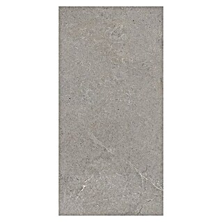Palazzo Feinsteinzeugfliese Valdi (60 x 120 cm, Taupe, Matt)