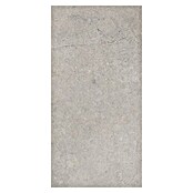 RAK Ceramics Feinsteinzeugfliese Valdi (30 x 60 cm, Light Grey, Matt) | BAUHAUS