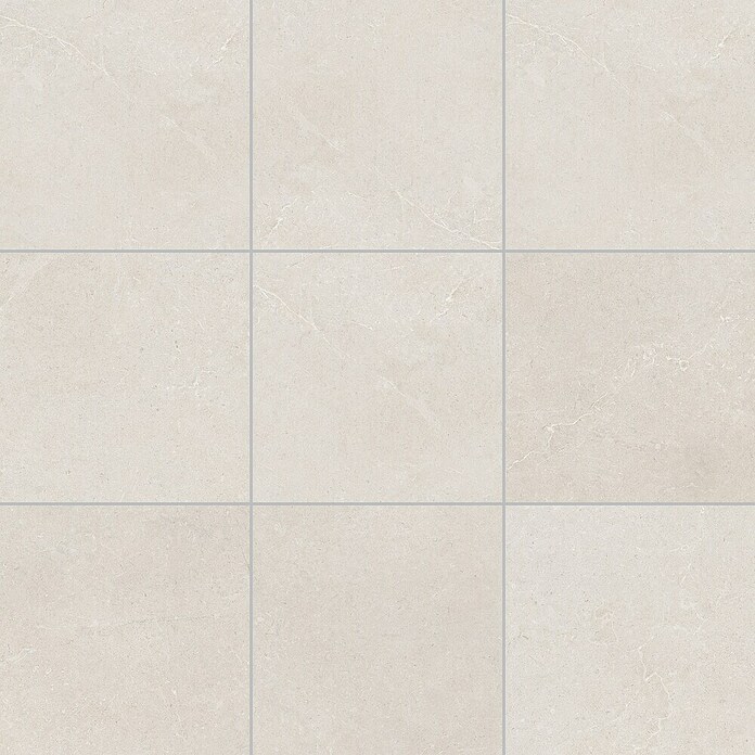 RAK Ceramics Feinsteinzeugfliese Valdi (60 x 60 cm, White, Matt) | BAUHAUS