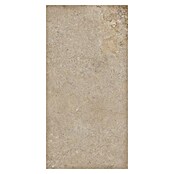 RAK Ceramics Feinsteinzeugfliese Valdi (30 x 60 cm, Beige, Matt) | BAUHAUS