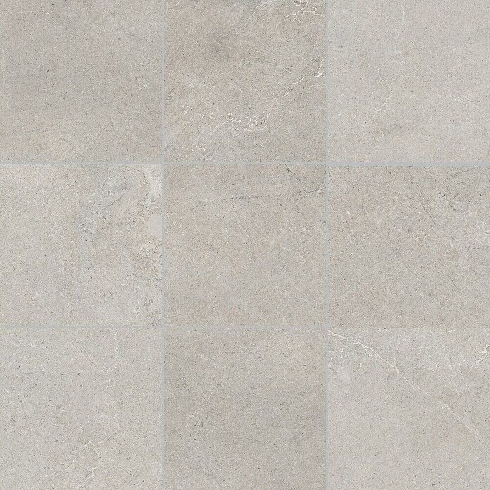 Palazzo Feinsteinzeugfliese Valdi (60 x 60 cm, Light Grey, Matt) | BAUHAUS