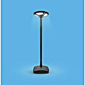 Garza Farola solar Icaro (Altura: 265,5 cm, Negro, IP54, Blanco cálido) | BAUHAUS