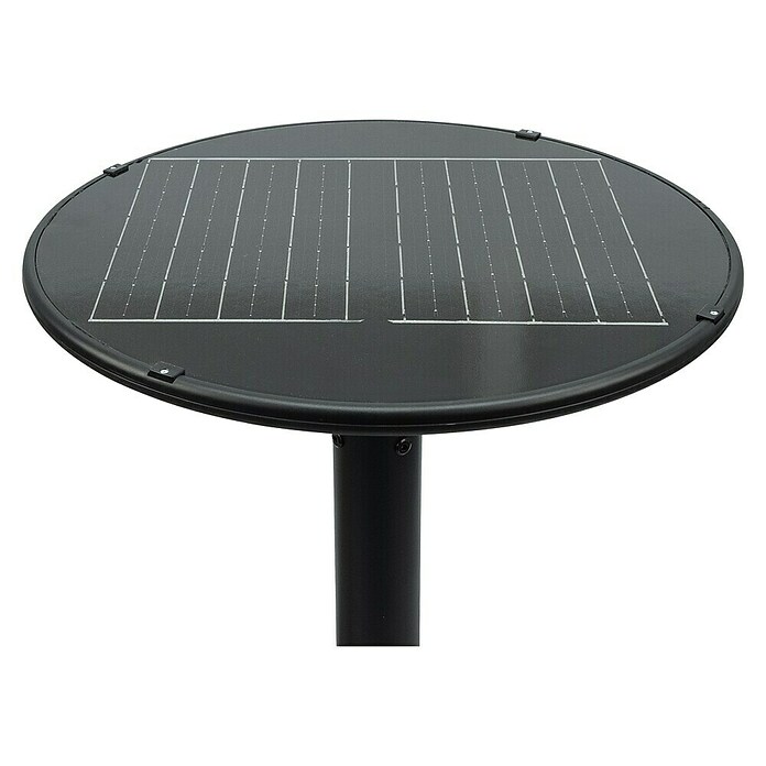 Garza Farola solar Icaro (Altura: 265,5 cm, Negro, IP54, Blanco cálido) | BAUHAUS