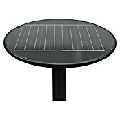 Garza Farola solar Icaro (Altura: 265,5 cm, Negro, IP54, Blanco cálido) | BAUHAUS