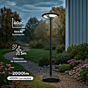 Garza Farola solar Icaro (Altura: 265,5 cm, Negro, IP54, Blanco cálido) | BAUHAUS