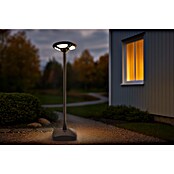 Garza Farola solar Icaro (Altura: 265,5 cm, Negro, IP54, Blanco cálido) | BAUHAUS