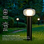 Garza Lámpara de pie para exterior LED Orfeo (12 x 12 x 60 cm, Negro, GU10) | BAUHAUS