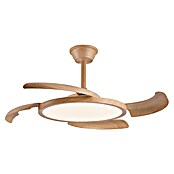 Cristal Record Ventilador de techo Key (Marrón, 122 cm, 30 W, Blanco cálido) | BAUHAUS