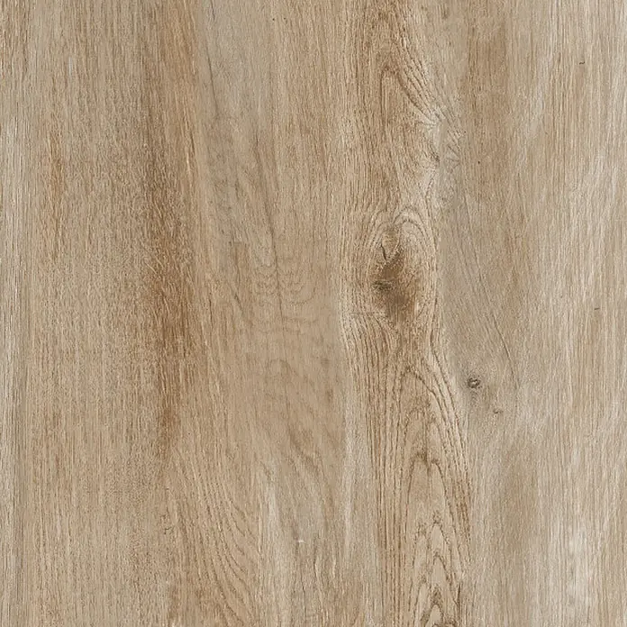 Terrassenfliese Foresta - 40 x 80 x 2 cm, Chiaro, Matt - Detailaufnahme einer hellbraunen Holzoberfläche mit markanter Maserung und Astlöchern, ideal für Möbel- und Innendesign.