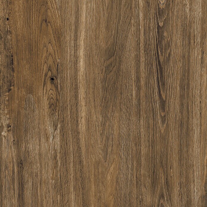 Terrassenfliese Foresta (40 x 80 x 2 cm, Scuro, Matt) | BAUHAUS
