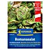 Kiepenkerl Salatsamen Romanasalat Forellenschluss 