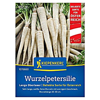 Kiepenkerl Gemüsesamen Wurzel Petersilie Lange Oberlaaer (Petroselinum crispum var. tuberosum, Erntezeit: August, Inhalt reicht für ca. 30 lfd. Meter)