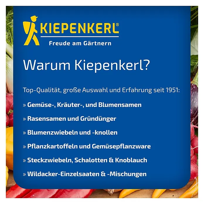Kiepenkerl Gemüsesamen Chili-Paprika Gutera - Capsicum annuum, Erntezeit: Juli, Ausreichend Saatgut für zahlreiche gesunde Pflanzen - Kiepenkerl Werbung.