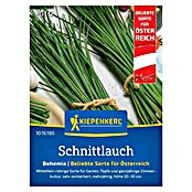 Kiepenkerl Schnittlauch Bohemia (Allium schoenoprasum, Erntezeit: Mai, Inhalt reicht für ca. 0,5 - 1 m2) | BAUHAUS