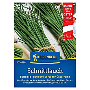 Kiepenkerl Schnittlauch Bohemia (Allium schoenoprasum, Erntezeit: Mai, Inhalt reicht für ca. 0,5 - 1 m2)