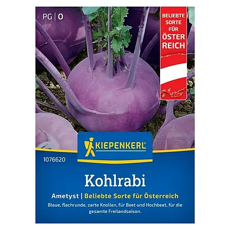 Kiepenkerl Gemüsesamen Kohlrabi Ametyst