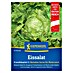 Kiepenkerl Eisbergsalat Grazer Krauthäuptel 2 