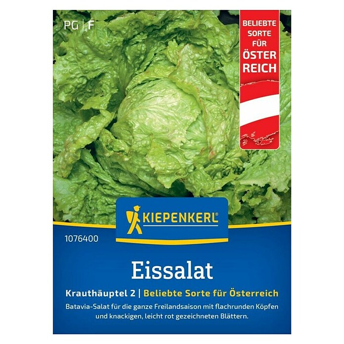 Kiepenkerl Eisbergsalat Grazer Krauthäuptel 2 (Lactuca sativa, Erntezeit: Juni, Inhalt reicht für ca.: 250 Pflanzen) | BAUHAUS