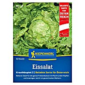 Kiepenkerl Eisbergsalat Grazer Krauthäuptel 2 (Lactuca sativa, Erntezeit: Juni, Inhalt reicht für ca.: 250 Pflanzen) | BAUHAUS
