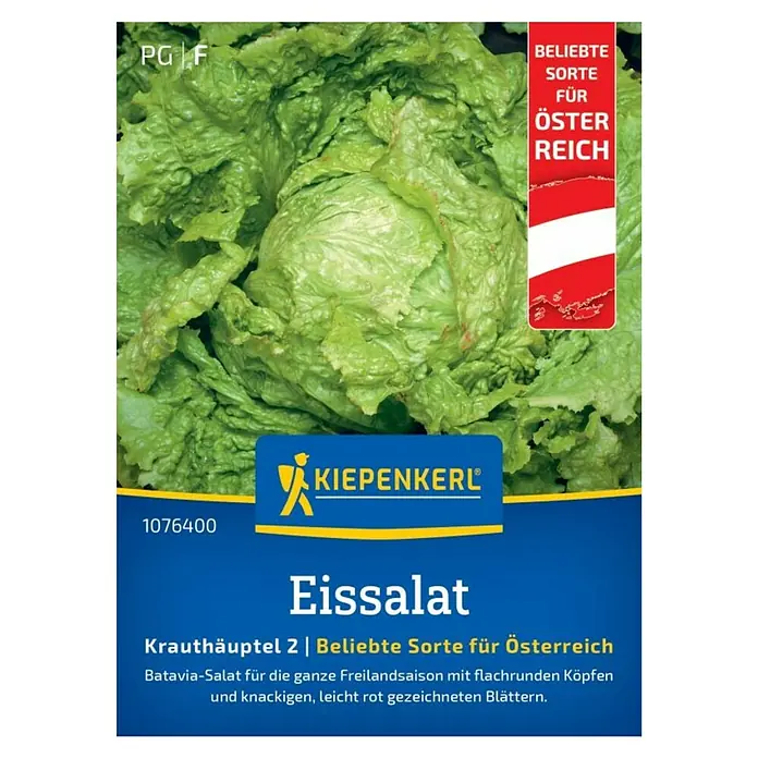 Kiepenkerl Salatsamen Grazer Krauthäuptel 2 - Samenmenge reicht für zahlreiche ertragreiche Pflanzen - Produktbild des „Eissalat“-Samenpakets von Kiepenkerl, einer beliebten Sorte für Österreich mit knackigen, leicht rot gezeichneten Blättern.