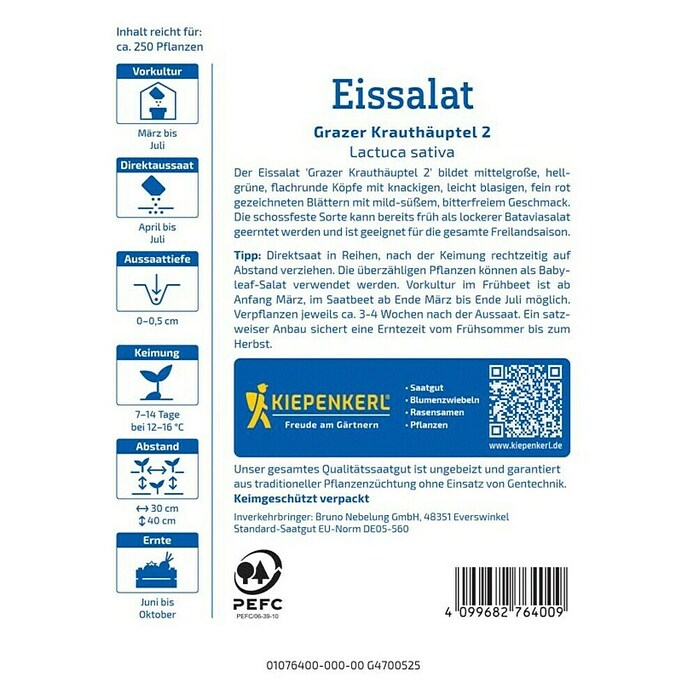 Kiepenkerl Eisbergsalat Grazer Krauthäuptel 2 (Lactuca sativa, Erntezeit: Juni, Inhalt reicht für ca.: 250 Pflanzen) | BAUHAUS