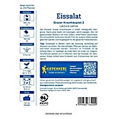 Kiepenkerl Eisbergsalat Grazer Krauthäuptel 2 (Lactuca sativa, Erntezeit: Juni, Inhalt reicht für ca.: 250 Pflanzen) | BAUHAUS