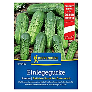 Kiepenkerl Gemüsesamen Einlegegurke Annika (Cucumis sativus, Inhalt reicht für ca.: 30 Pflanzen)