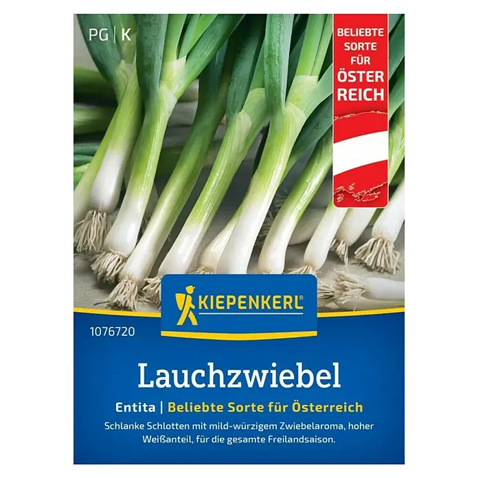 Liguster (Ligustrum ovalifolium, Topfvolumen: 2,5 l) | BAUHAUS