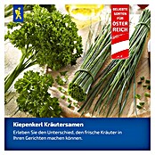 Kiepenkerl Schnittlauch Bohemia (Allium schoenoprasum, Erntezeit: Mai, Inhalt reicht für ca. 0,5 - 1 m2) | BAUHAUS
