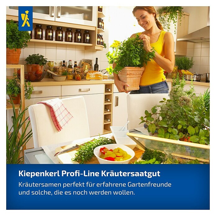 Kiepenkerl Petersilie Mooskrause 2 / Smaragd (Petroselinum crispum, Erntezeit: Juni, Inhalt reicht für ca. 250 Pflanzen) | BAUHAUS