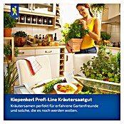 Kiepenkerl Petersilie Mooskrause 2 / Smaragd (Petroselinum crispum, Erntezeit: Juni, Inhalt reicht für ca. 250 Pflanzen) | BAUHAUS
