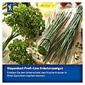 Kiepenkerl Petersilie Mooskrause 2 / Smaragd (Petroselinum crispum, Erntezeit: Juni, Inhalt reicht für ca. 250 Pflanzen) | BAUHAUS
