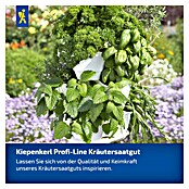Kiepenkerl Petersilie Mooskrause 2 / Smaragd (Petroselinum crispum, Erntezeit: Juni, Inhalt reicht für ca. 250 Pflanzen) | BAUHAUS