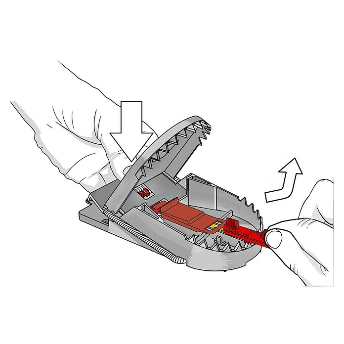 Swissinno Rattenfalle (Lebendfalle)