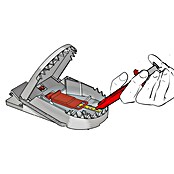 Swissinno Rattenfalle (Lebendfalle)