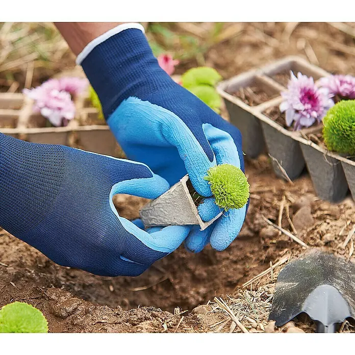 Juba Guantes para jardín - 8, Azul, Poliéster, 2 ud. - Manos con guantes de jardinería plantan una flor verde de una maceta de iniciación en un parterre, rodeadas de plantas y herramientas adicionales.