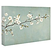 Armario de contadores Flor (Flor, An x Al: 47 x 37 cm) | BAUHAUS