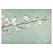 Armario de contadores Flor (Flor, An x Al: 47 x 37 cm) | BAUHAUS